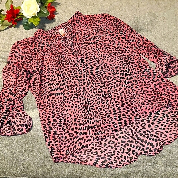 No Boundaries Tops - NoBo sheer blouse 💝